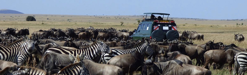 3 Days 2 Nights Masai Mara Jeep Safari