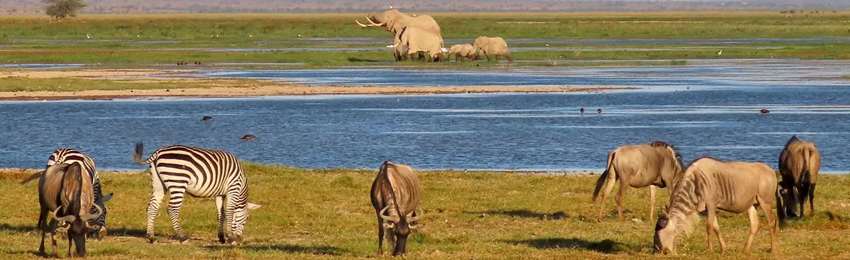 3 Days Amboseli 4x4 Jeep Safari