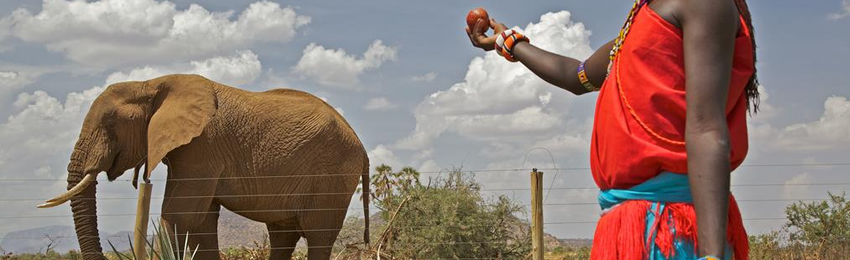 3 Days Samburu National Park Flying Safari