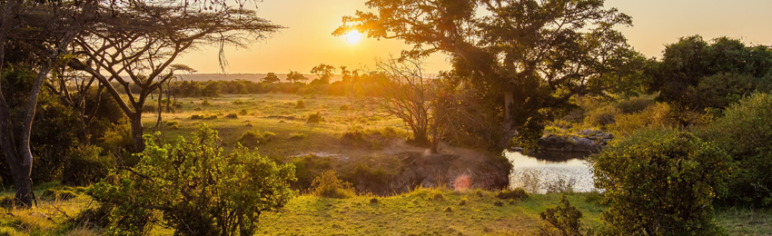 4-Days Masai Mara & L Nakuru Group Joining Safari