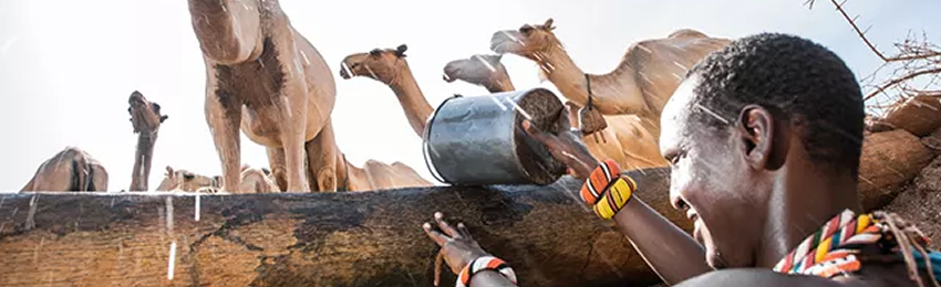 4 Days Samburu Cultural Safari Experiences