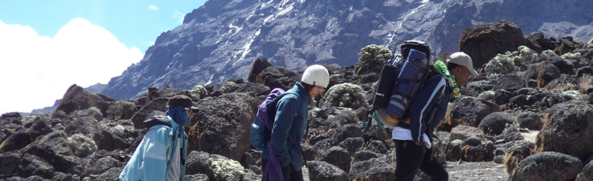 8 Days 7 Night-Trekking Machame Route Price and Program