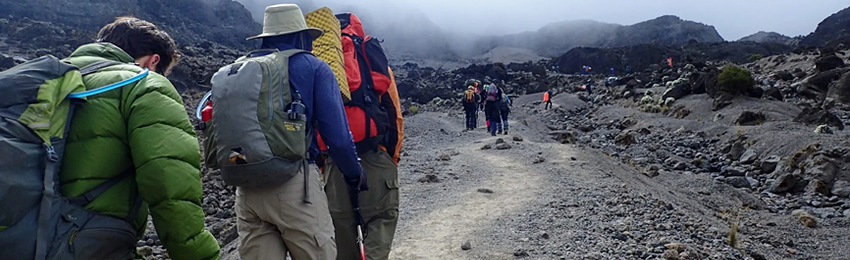 8 Days 7 Night-Trekking Machame Route Price and Program