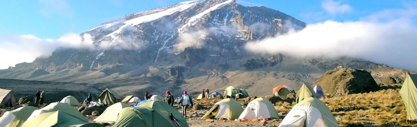 8 Days 7 Night-Trekking Machame Route Price and Program